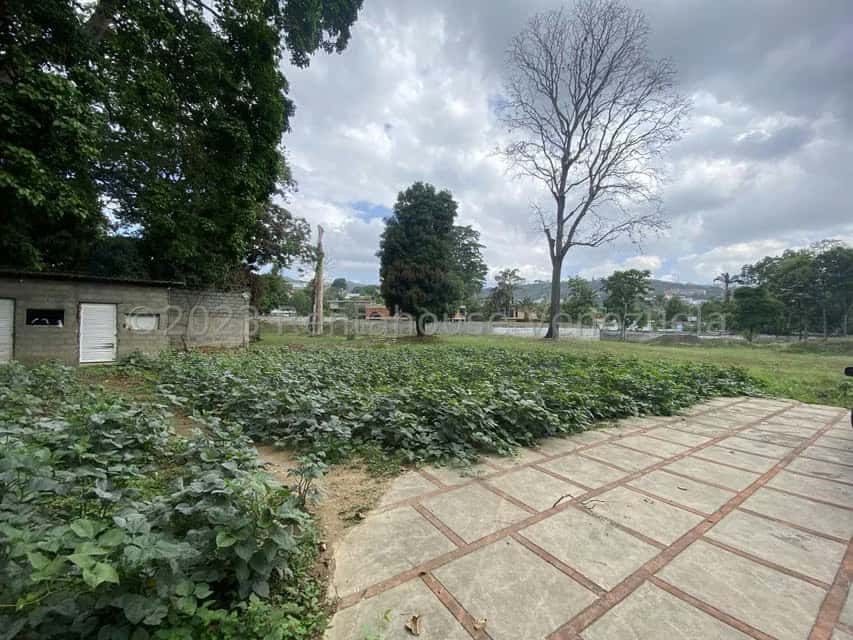 View 28