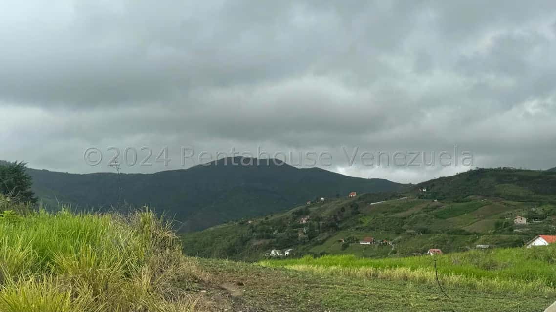 View 14