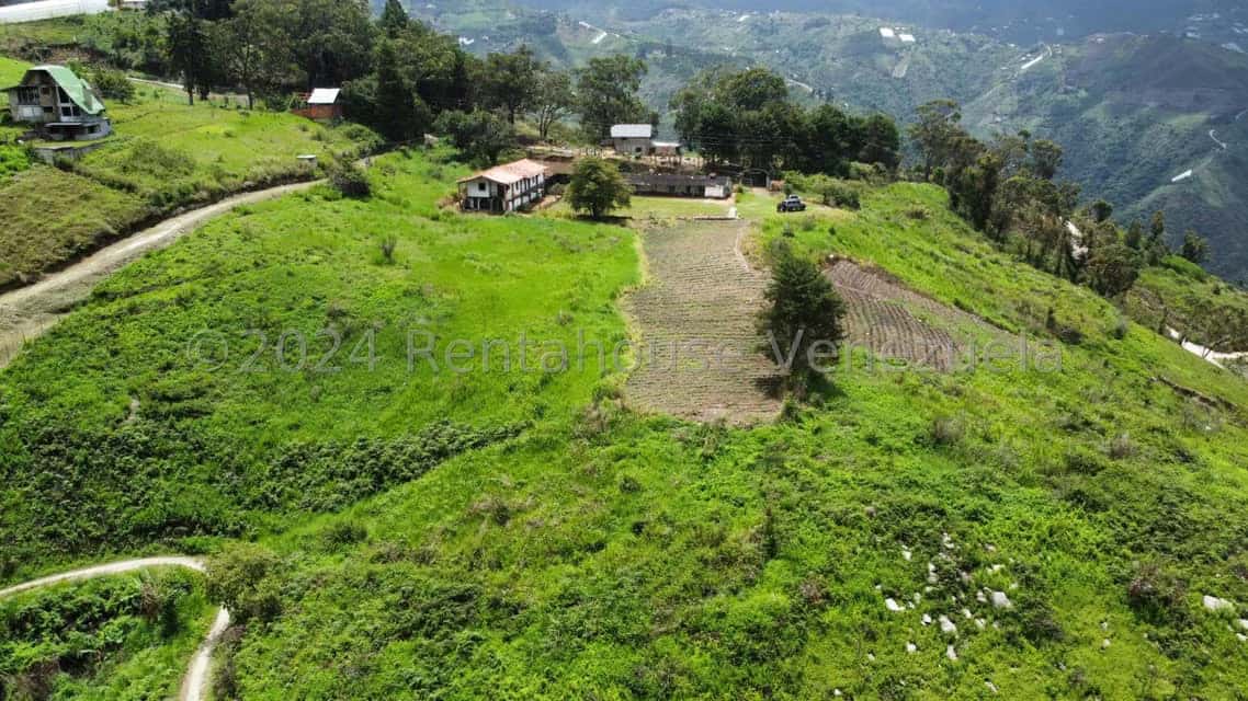 View 17