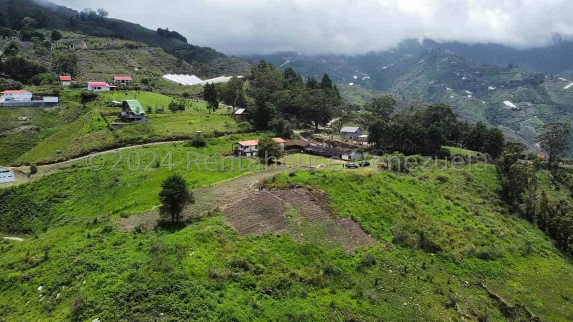 View 18