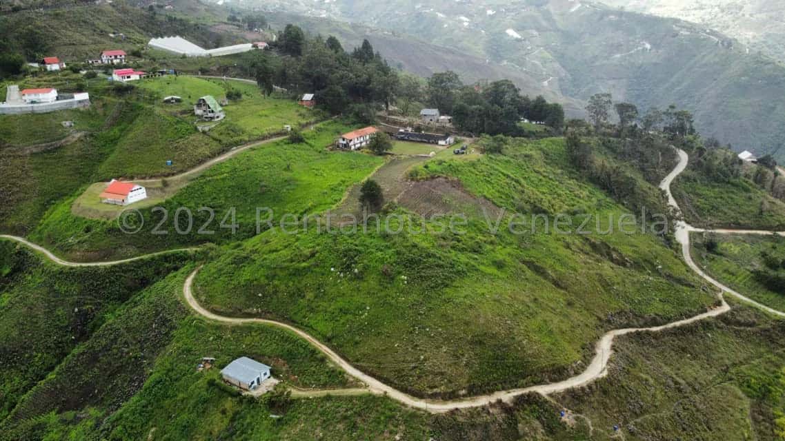 View 3