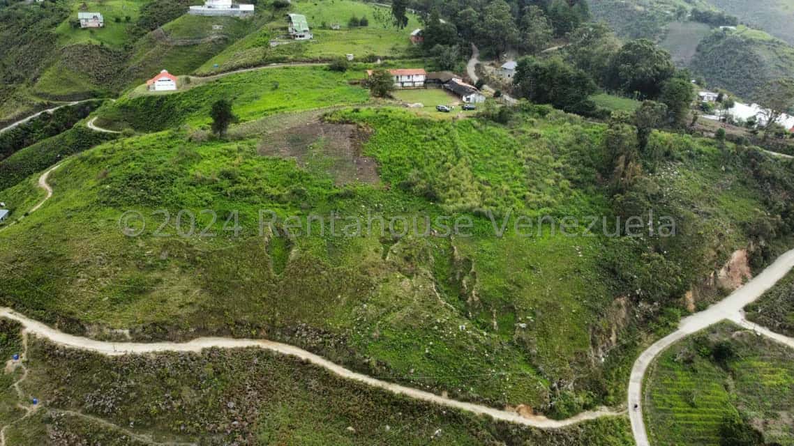 View 10