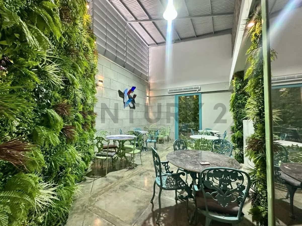 Vista 13