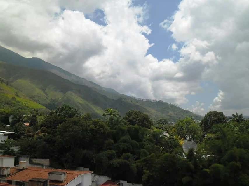 View 11