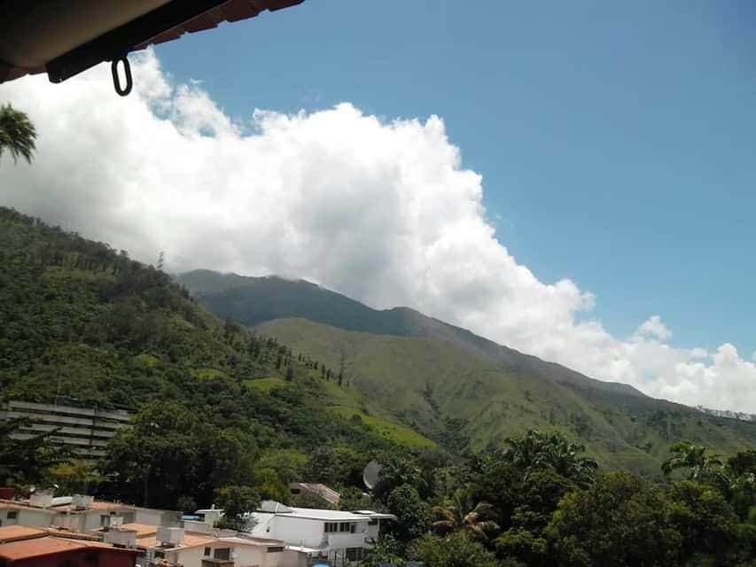 View 20