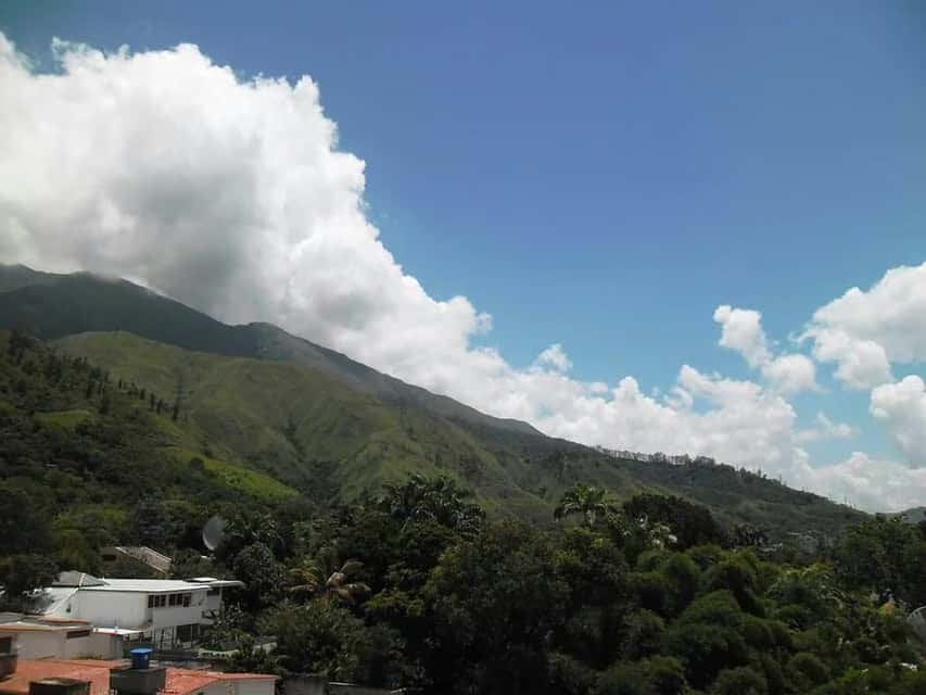 View 21