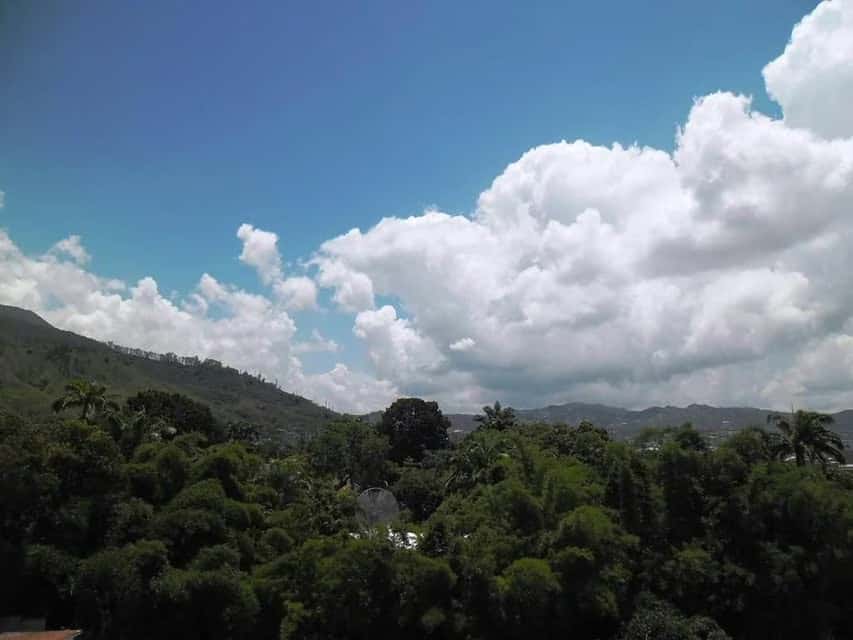 View 22
