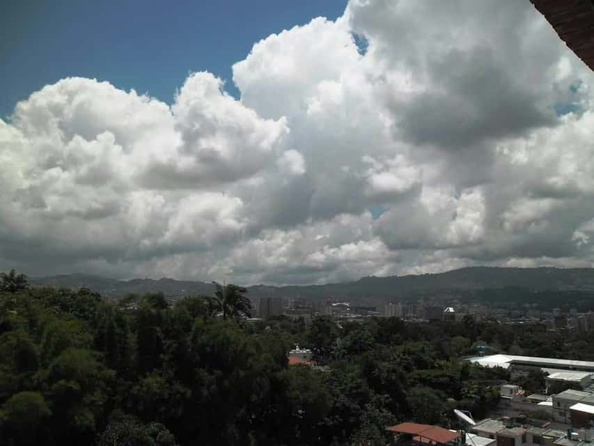 View 24