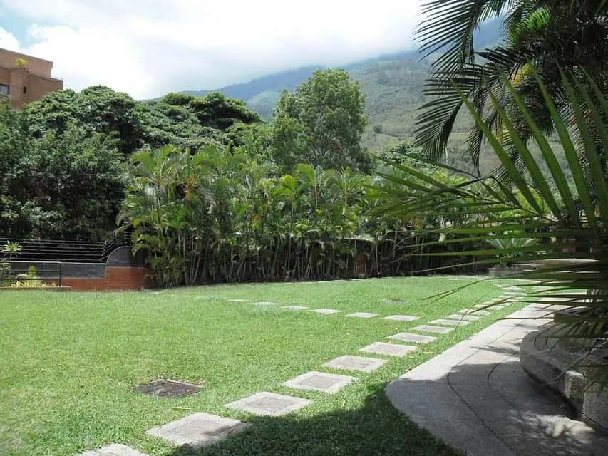View 70