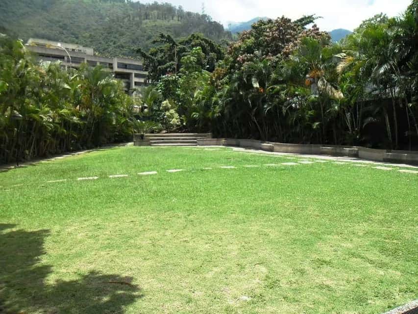 View 76