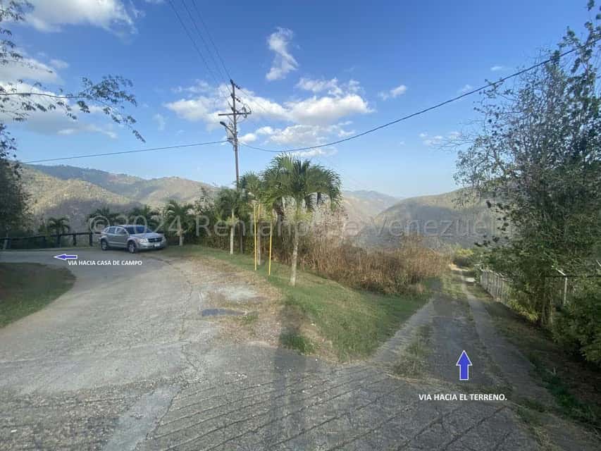 View 2