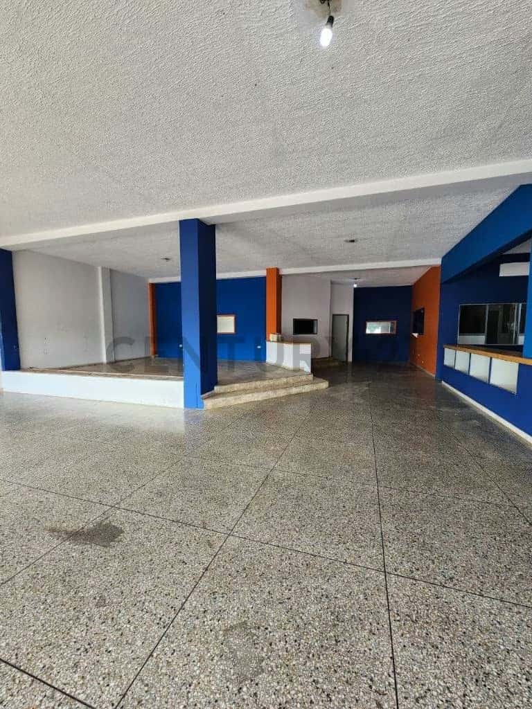 Vista 3