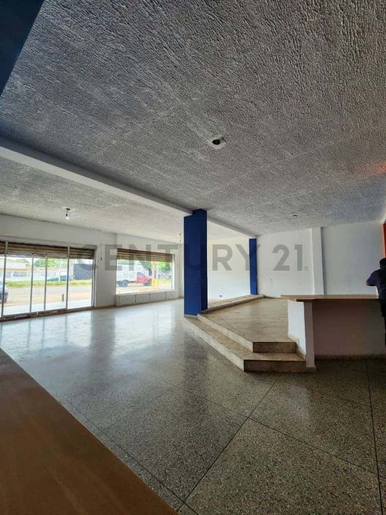 Vista 6
