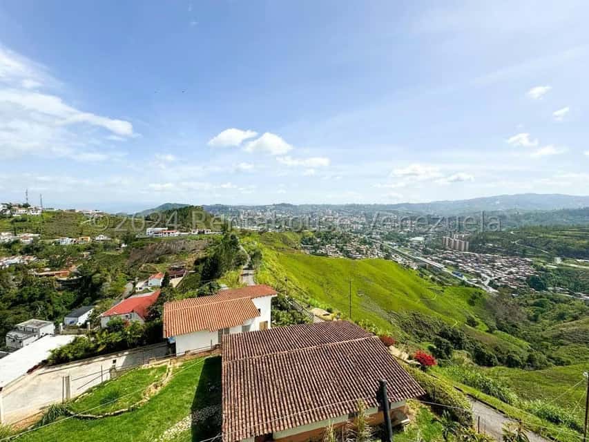 View 31