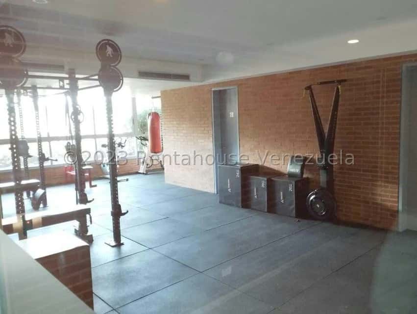 Vista 55
