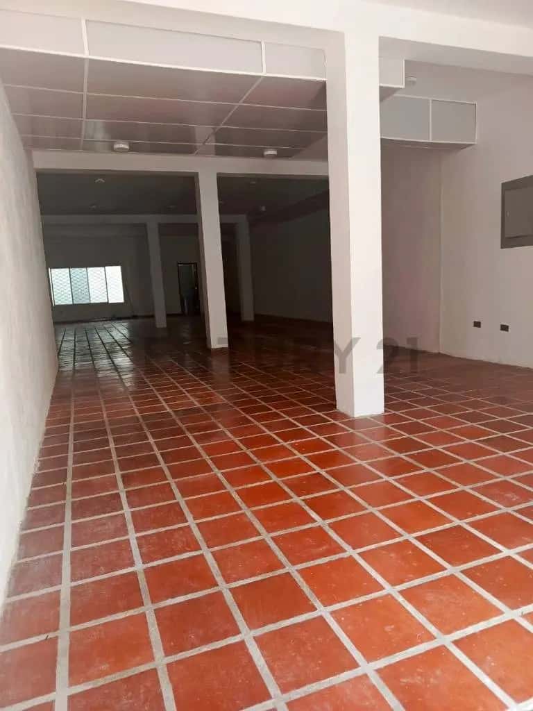 Vista 4