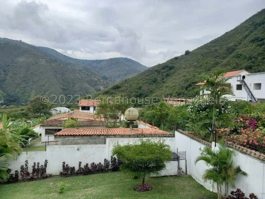View 59