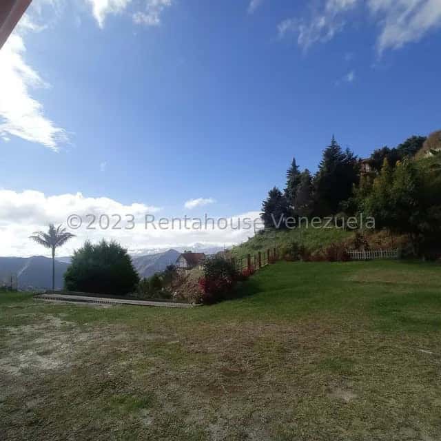 View 16
