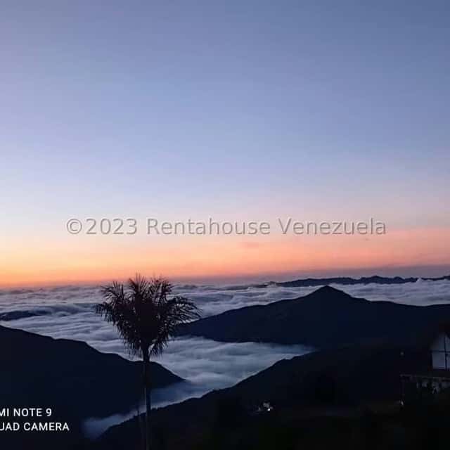 View 21