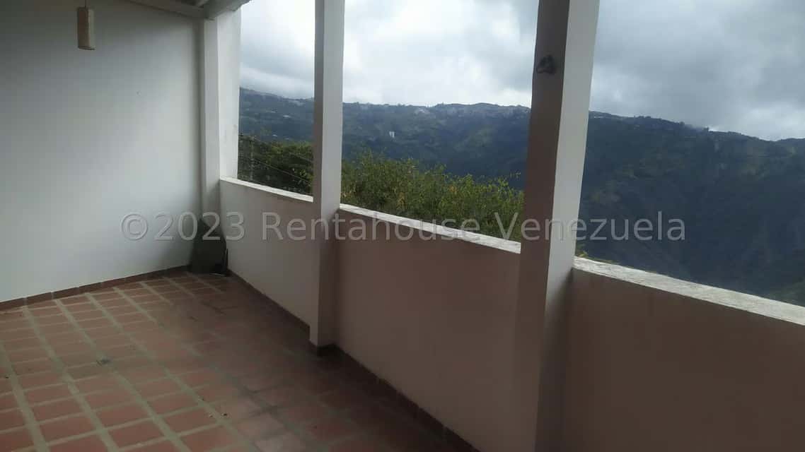 View 14