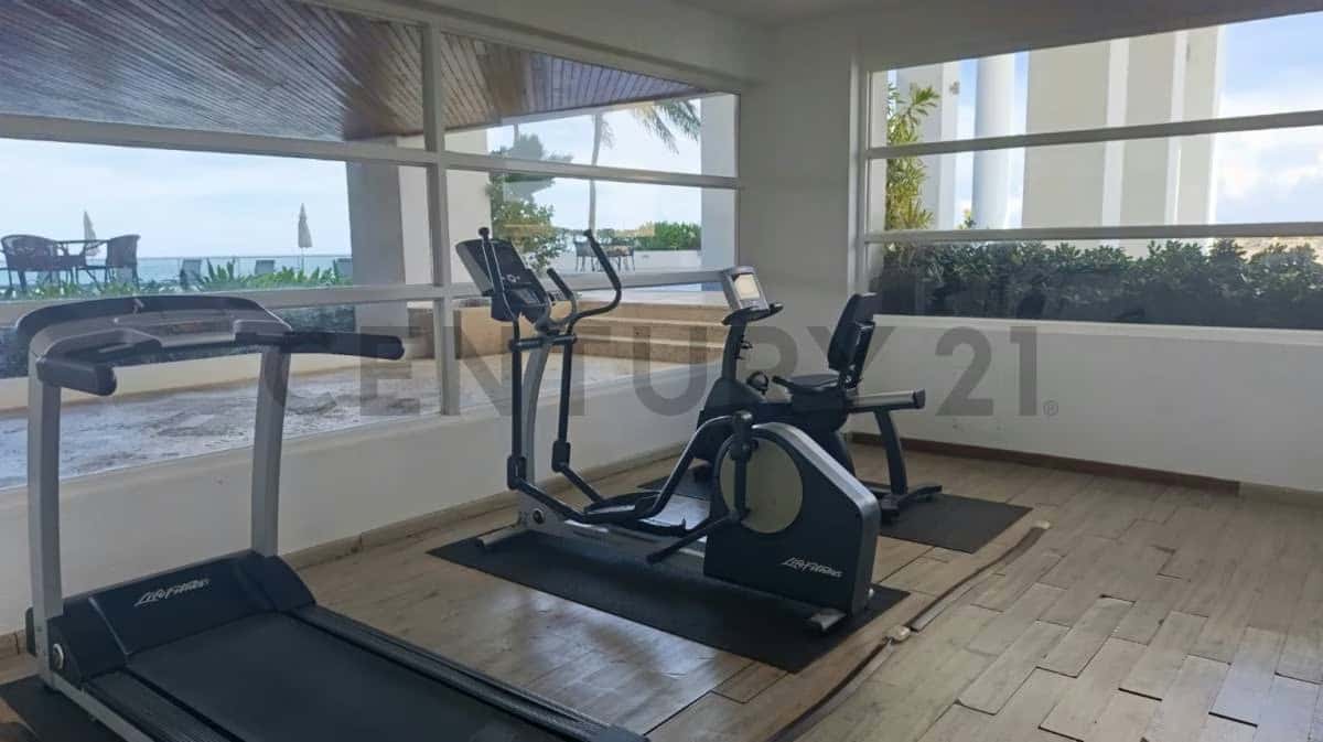 Vista 25