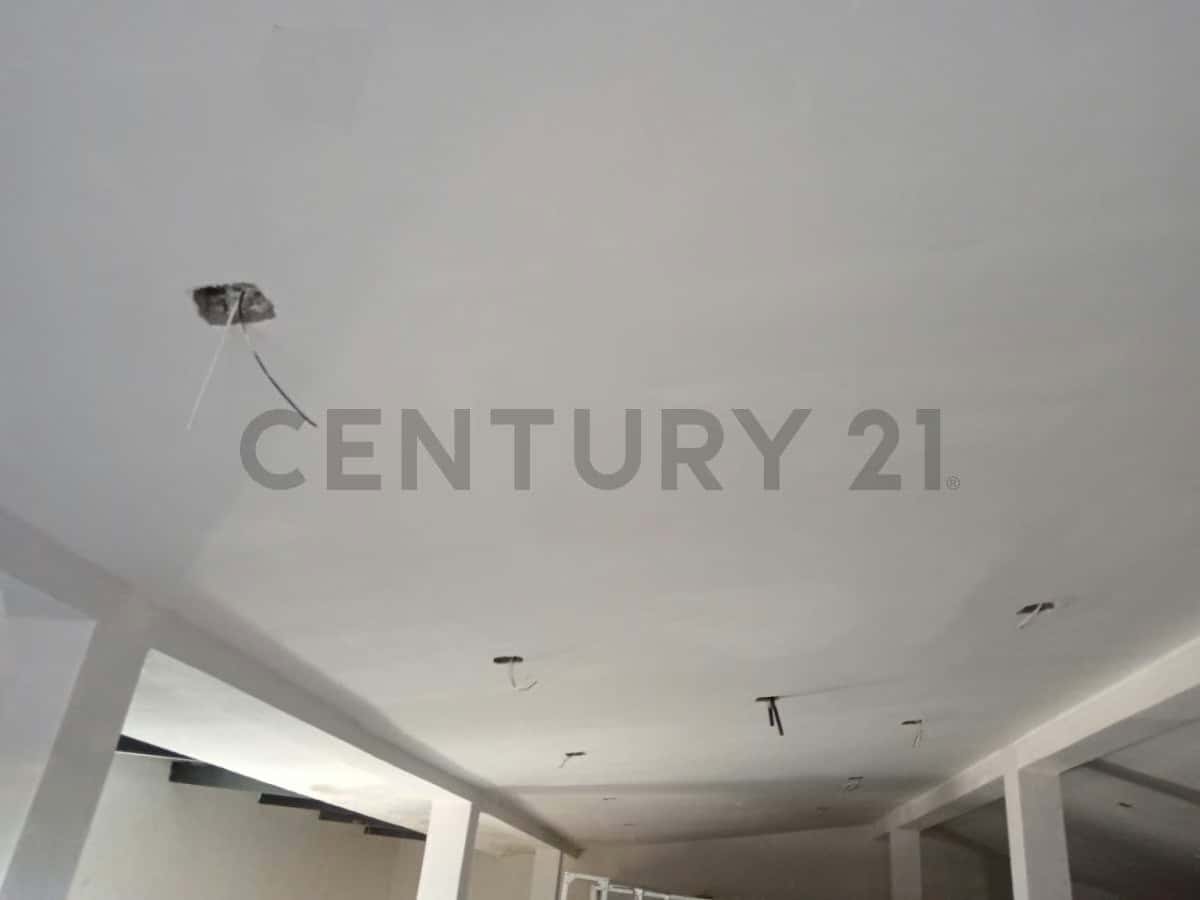 Vista 13