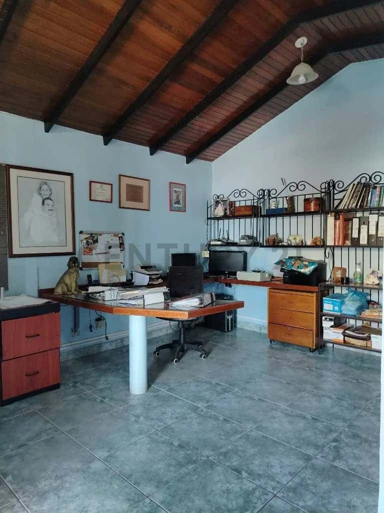 Vista 4