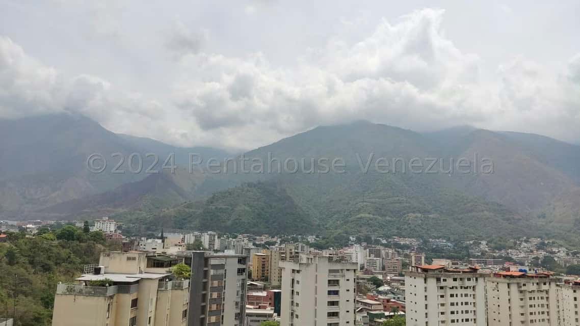 Vista 29