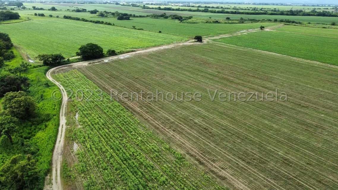 Vista 16