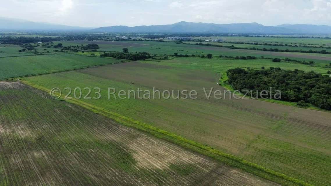 Vista 19