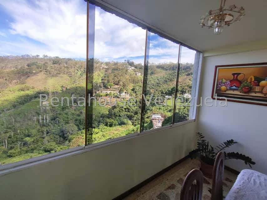 Vista 23