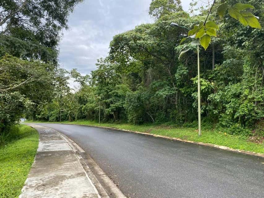 Vista 3