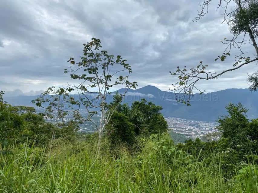 Vista 27