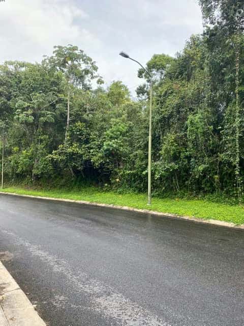 Vista 28