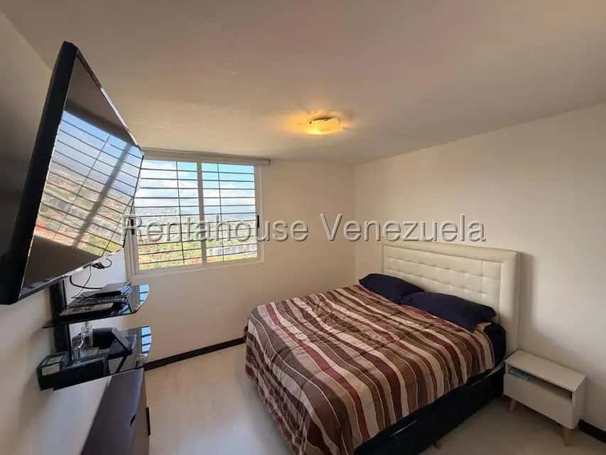 Vista 19