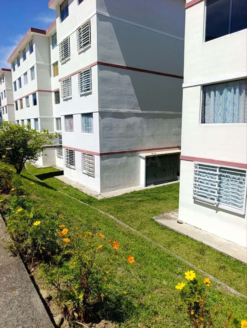 Vista 3