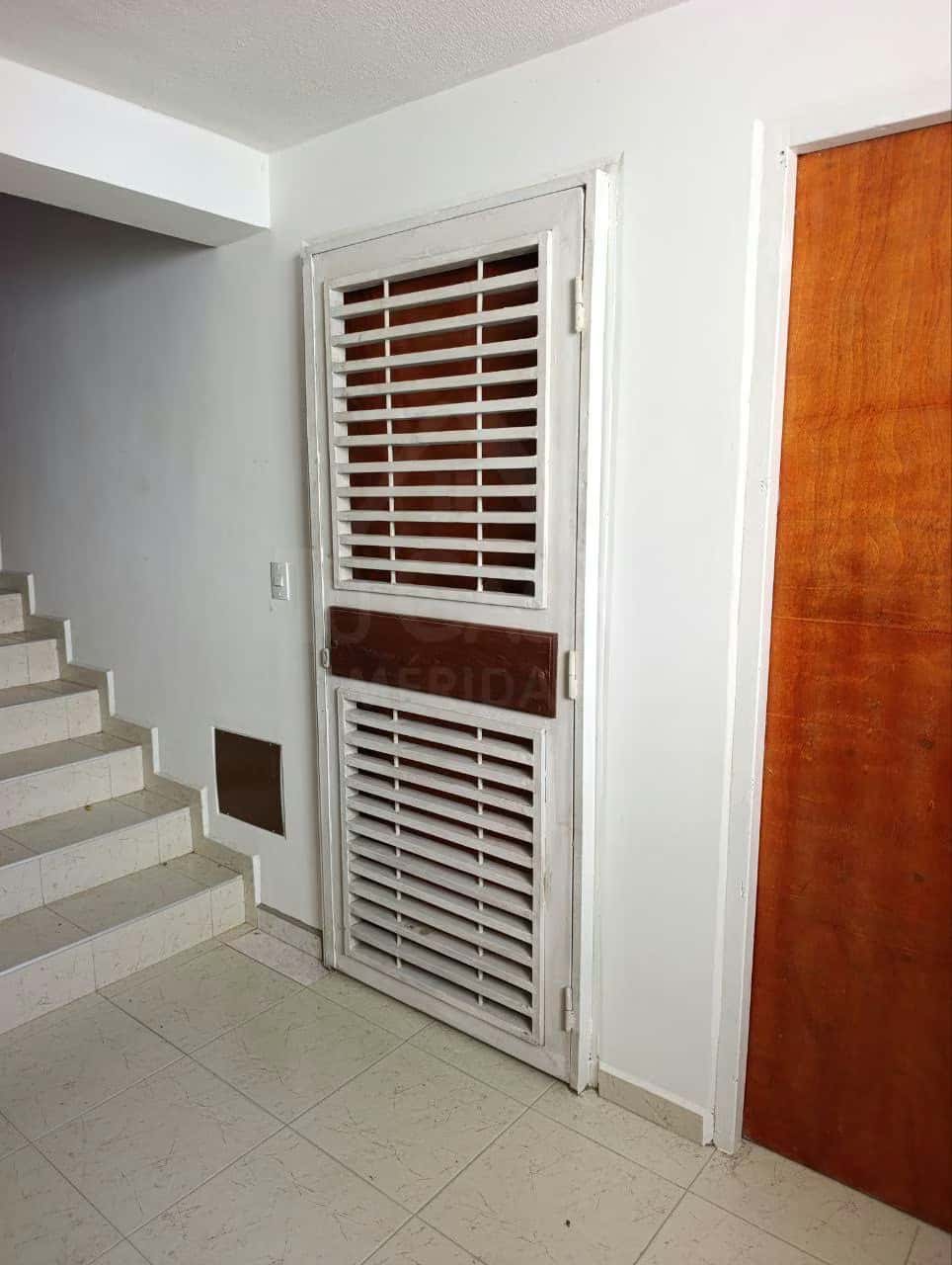 Vista 4