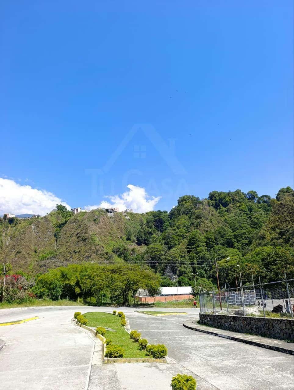 Vista 6