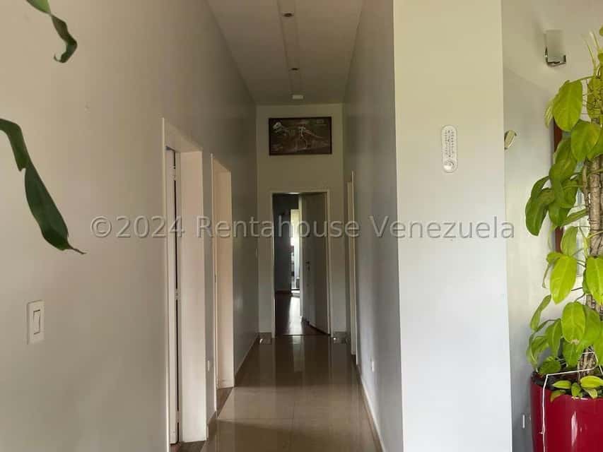 Vista 13