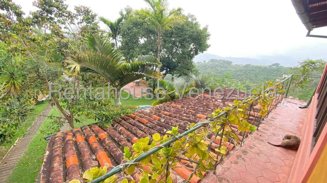 View 31
