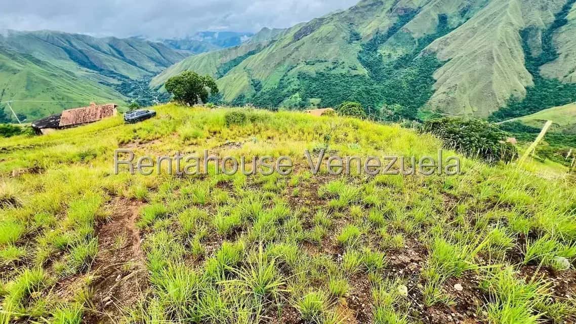 Vista 20