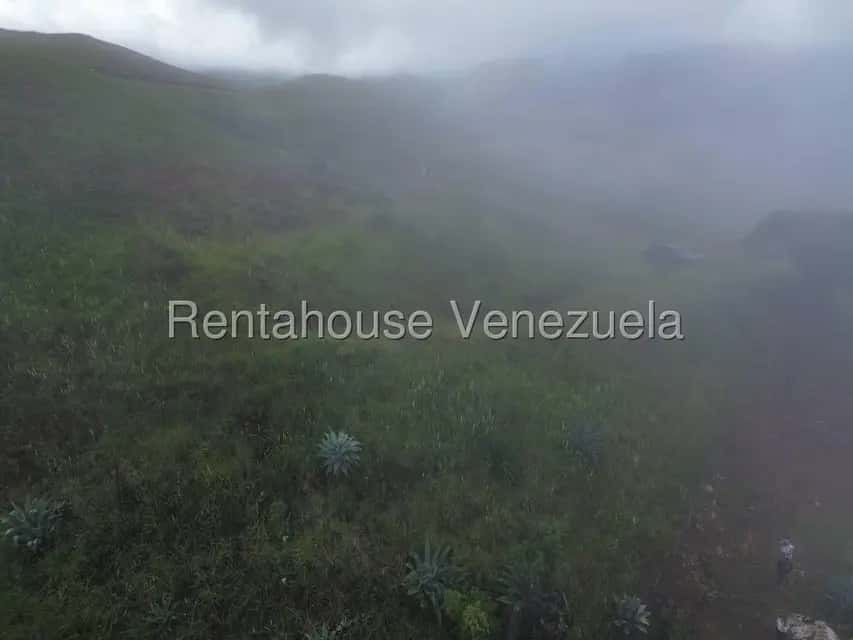 Vista 29