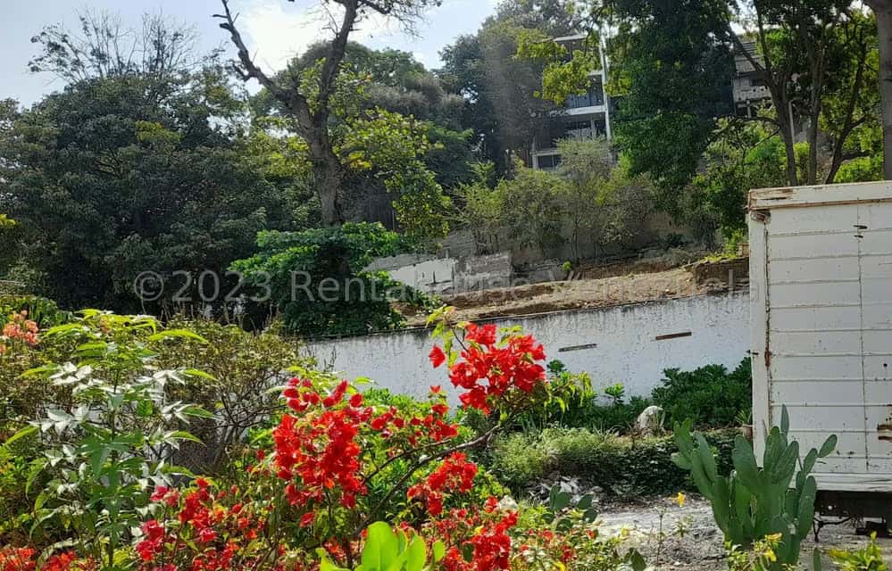 Vista 17