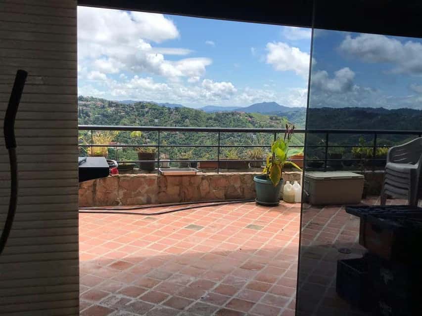 Vista 19