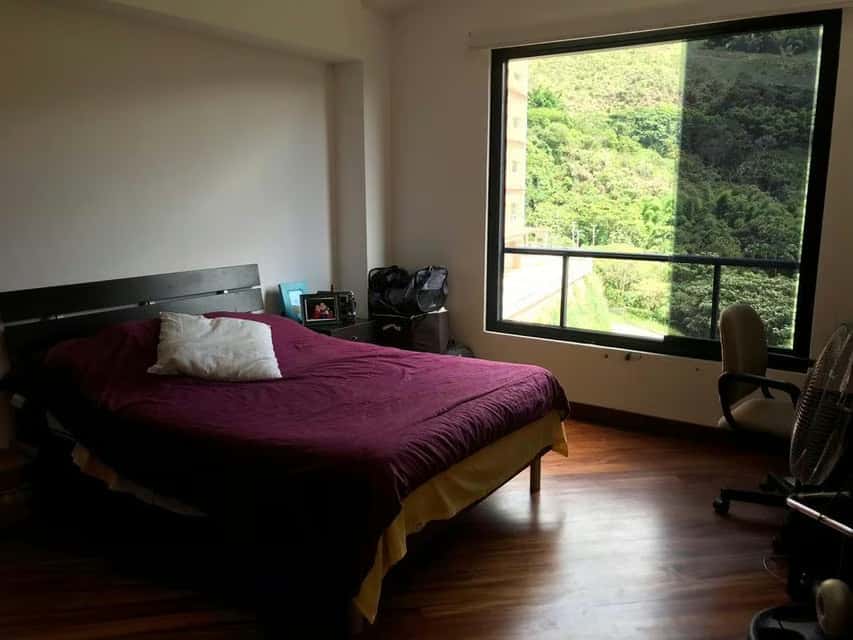 Vista 24