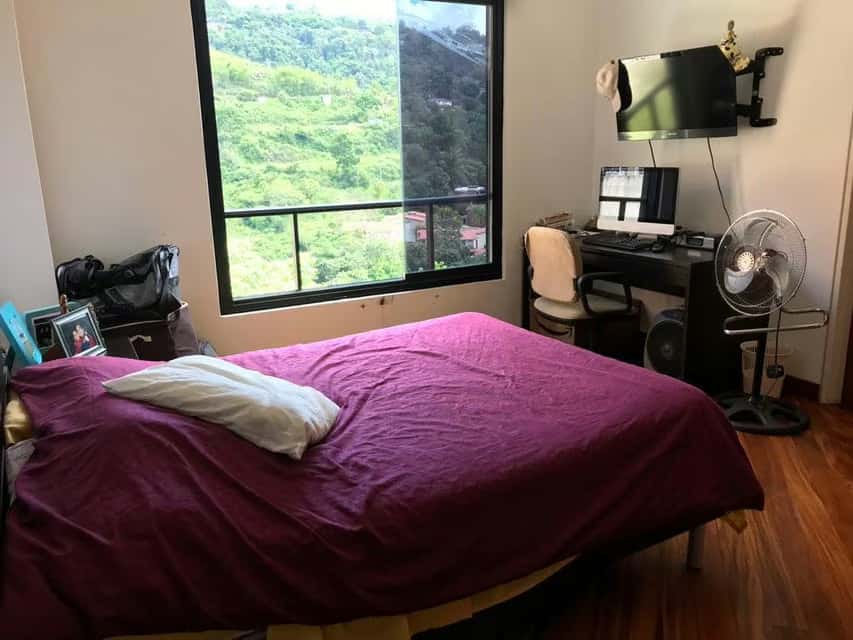 Vista 26