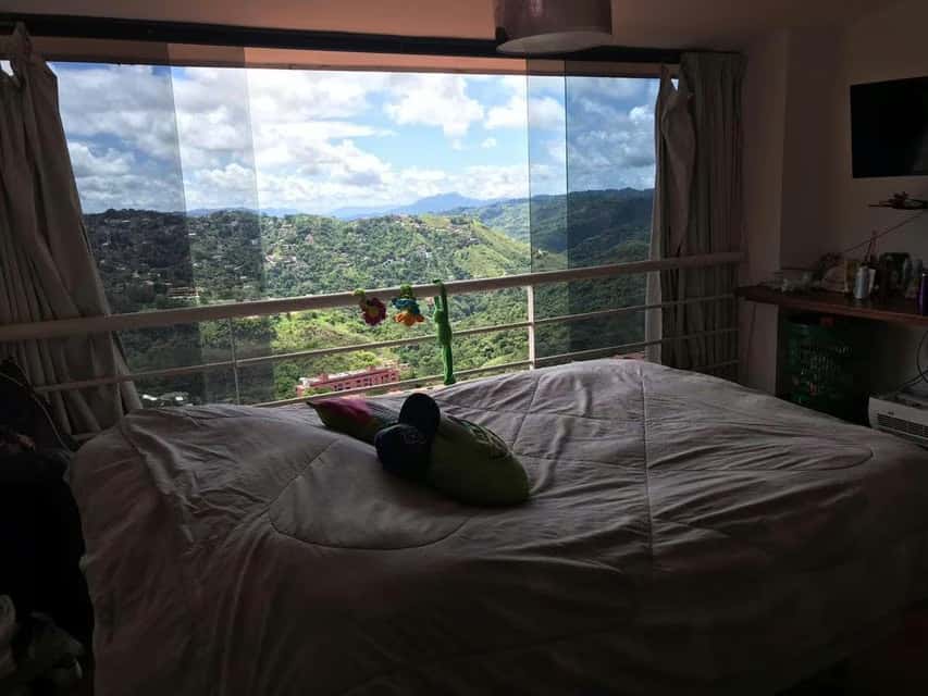 Vista 29