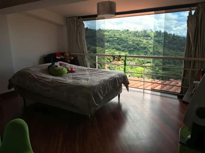Vista 31