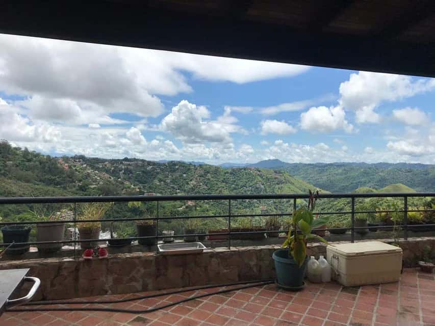 Vista 44