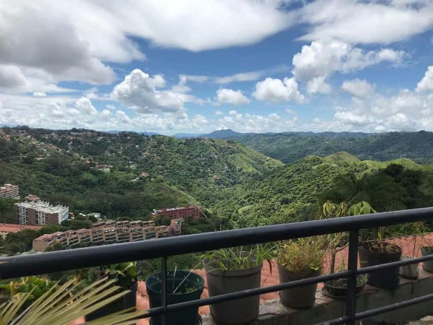 Vista 45